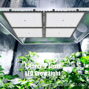 Luci progressive a LED SMD5050 a spettro completo UV IR